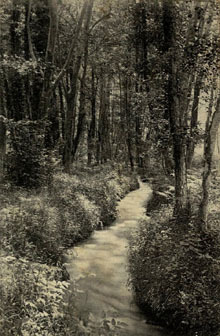 Camí de la Dona d'Aigua d'Arbúcies. 1934