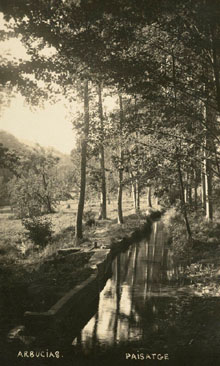 Paisatge d'Arbúcies. 1925