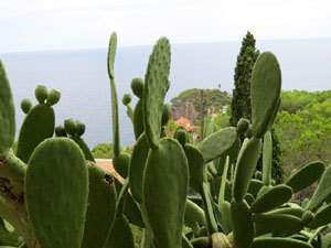 Sant Feliu de Guíxols