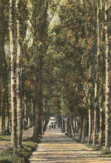 Passeig de la Font Nova. 1900-1910