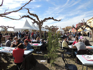 Fira del Porc FIPORC 2014. Les parades de la Fira