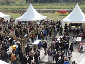 Fira del Porc FIPORC 2014. Miscel·lània de la Fira