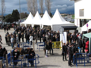 Fira del Porc FIPORC 2014. Exposicions i exhibicions