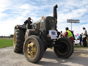 Fira del Porc FIPORC 2014. Exposicions i exhibicions