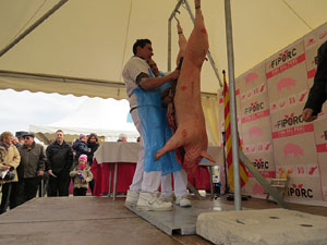 Fira del Porc FIPORC 2015. Demostració de l'especejament d'un porc