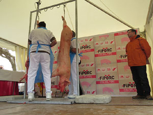 Fira del Porc FIPORC 2015. Demostració de l'especejament d'un porc