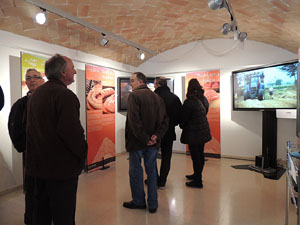 Fira del Porc FIPORC 2015. Exposicions i exhibicions