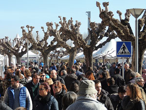 Fira del Porc FIPORC 2015. Les parades de la fira