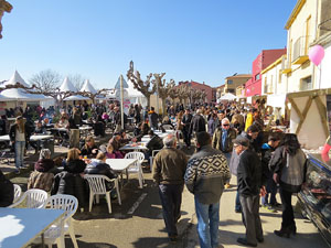 Fira del Porc FIPORC 2015. Miscel·lània de la fira