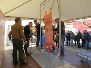 Fira del Porc FIPORC 2016. Demostració de l'especejament d'un porc