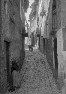 Carrer d'Olot amb una dona i un gos en primer terme. 1890-1919