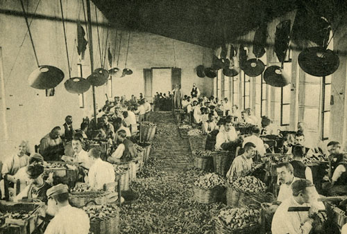 Fàbrica de taps. 1903
