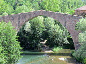 Sant Joan de les Abadesses. La vila