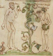 La Biblia de Sant Pere de Rodes