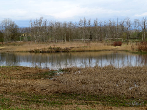 L'Estany de Sils, l'hivern