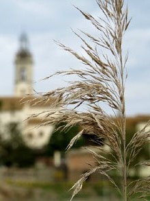 L'església de Santa Maria de Sils des del camí de l'Estany