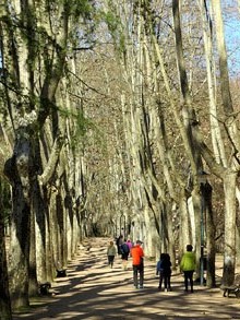 Parc de Sant Salvador d'Horta