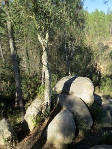 El camí del castell de Farners