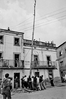 Plantada de l'Arbre de Maig. 1979