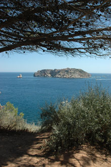 Les illes Medes. 2010