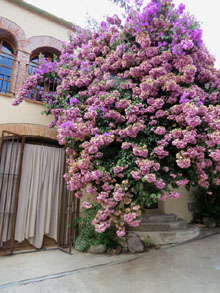 Carrer de Palau de Santa Eulàlia