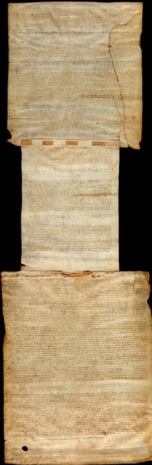 13 de març de 1425. El cavaller Guillem Arnau de Palol, d'Arenys d'Empordà, fa el capbreu de les terres que pertanyen al seu domini directe al terme del castell de Siurana d'Empordà, entre altres, a Francesc Martorell, de Santa Eulàlia de Palau