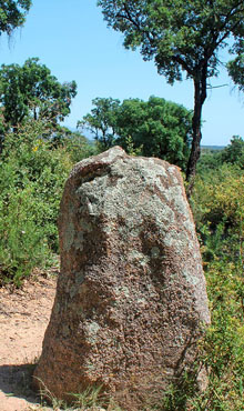 El menhir del Quer Afumat II