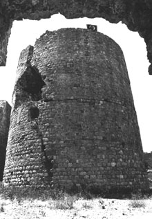 Torre del castell de Llers. 1988